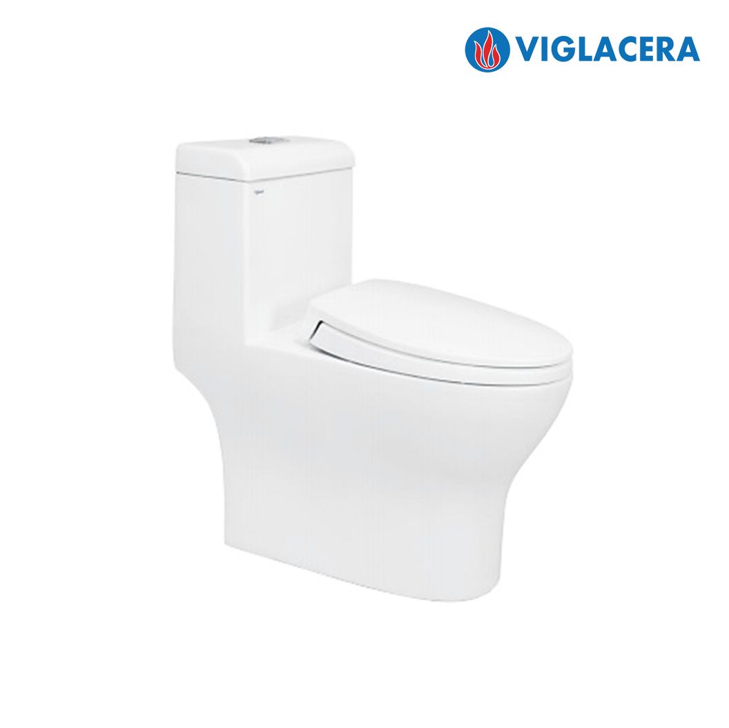 Bồn cầu sứ VIGLACERA V45